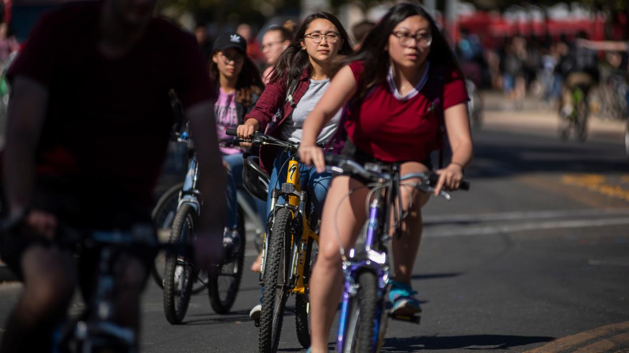 Students ride their bikes on  Hutchison Drive at UC Davis
