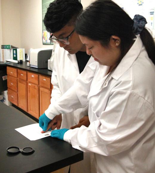 forensic science students practice fingerprinting